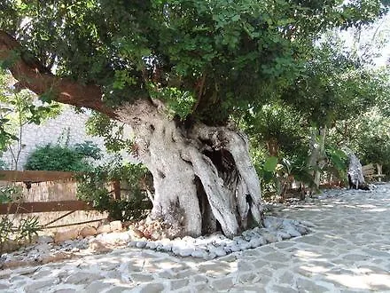 Stone Village Aparthotel 4*